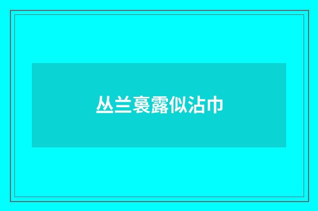 丛兰裛露似沾巾