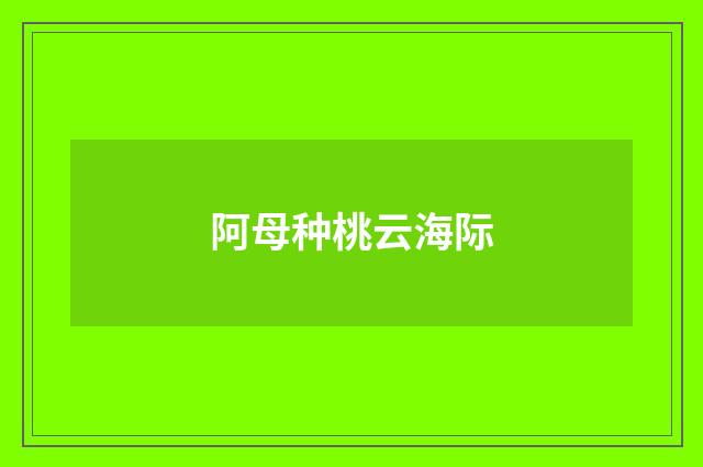 阿母种桃云海际