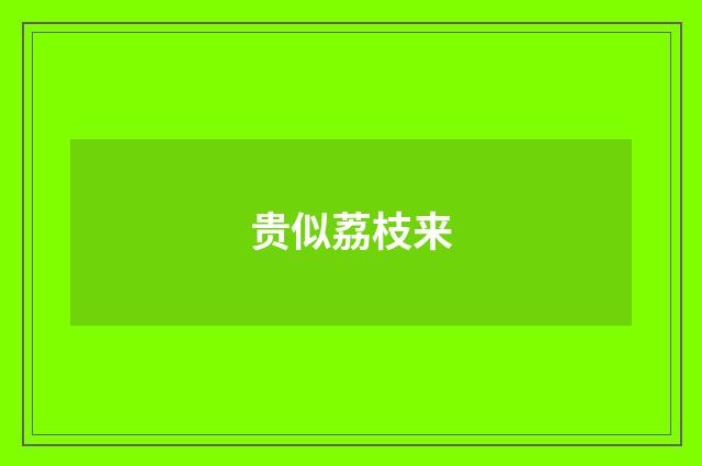 贵似荔枝来