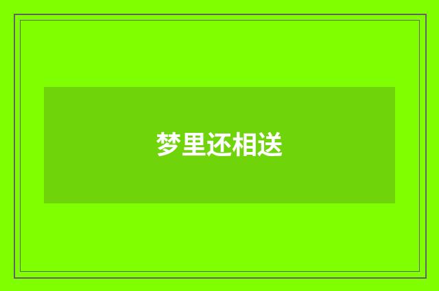 梦里还相送
