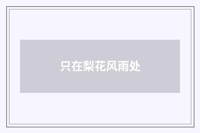 只在梨花风雨处