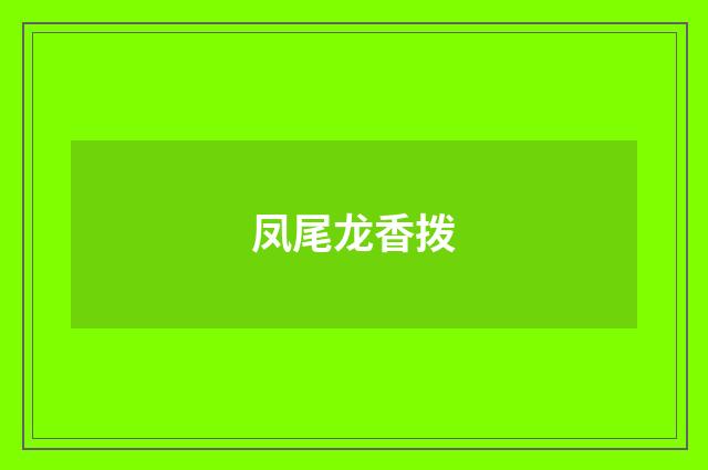 凤尾龙香拨