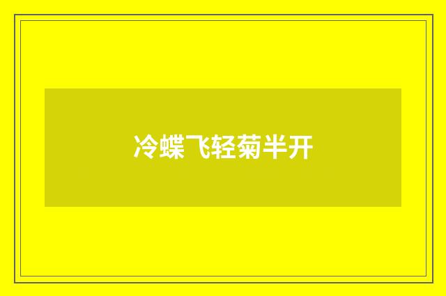 冷蝶飞轻菊半开