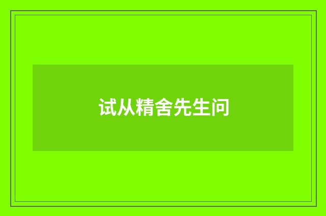 试从精舍先生问