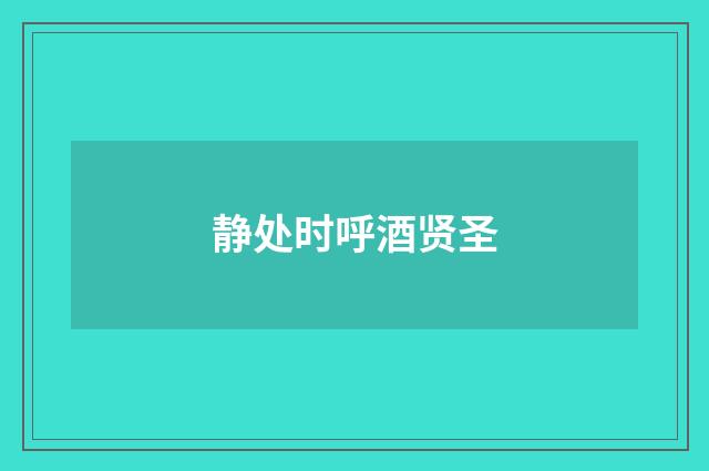 静处时呼酒贤圣