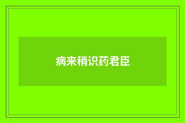 病来稍识药君臣