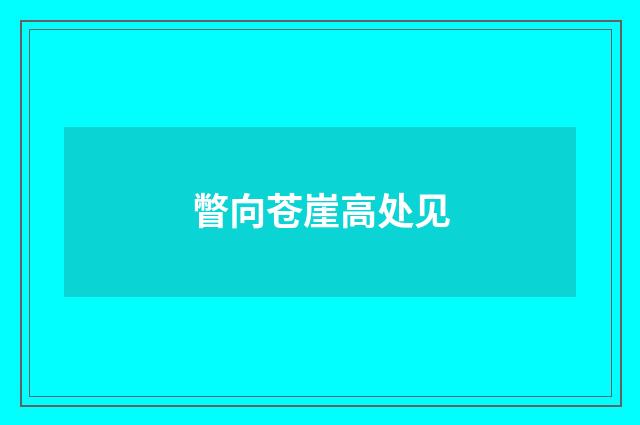 瞥向苍崖高处见