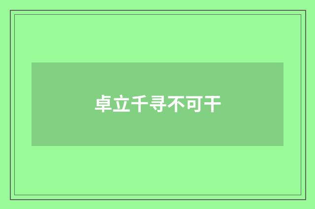 卓立千寻不可干