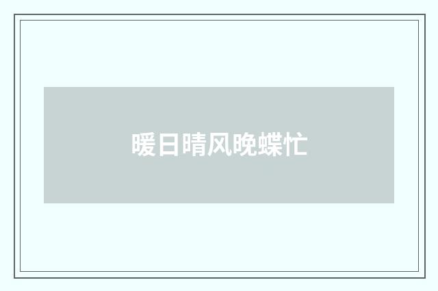 暖日晴风晚蝶忙