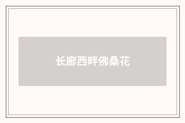 长廊西畔佛桑花