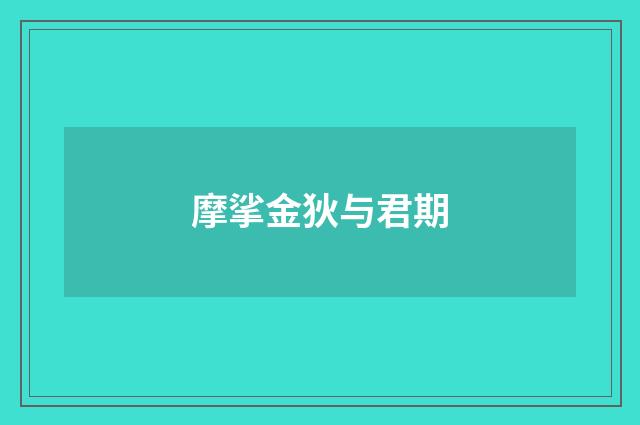 摩挲金狄与君期