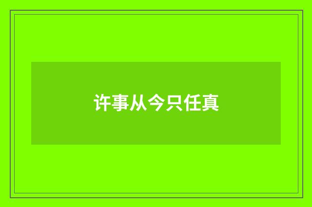 许事从今只任真