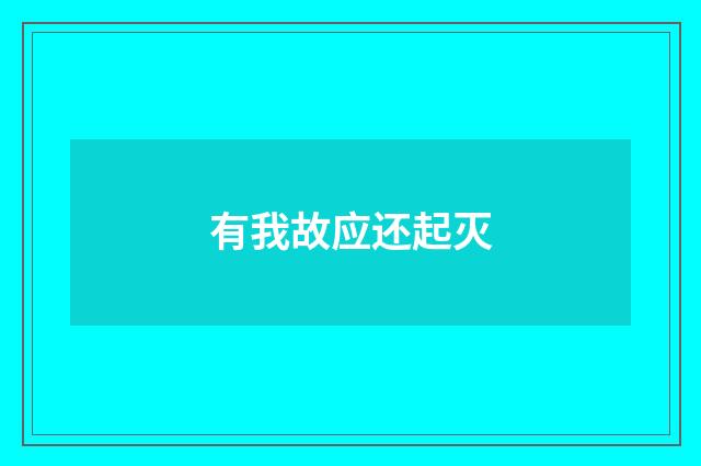有我故应还起灭