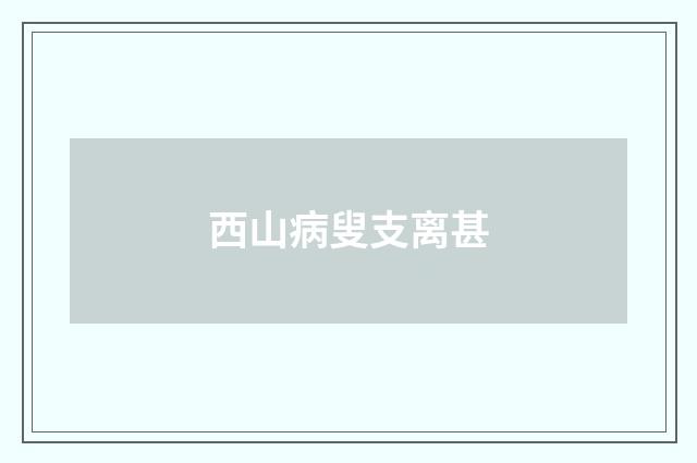 西山病叟支离甚