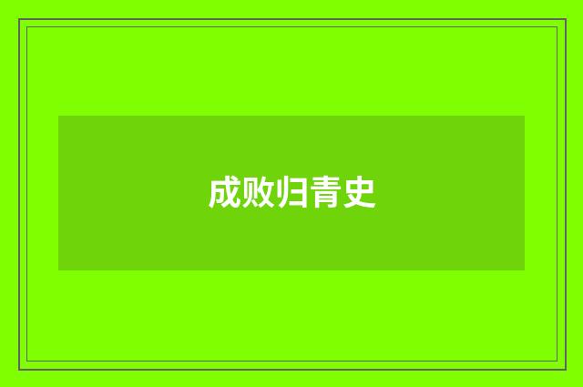 成败归青史
