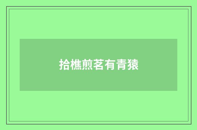 拾樵煎茗有青猿