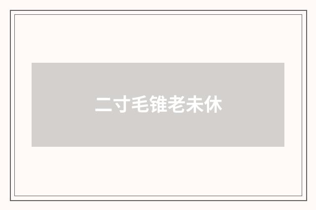 二寸毛锥老未休