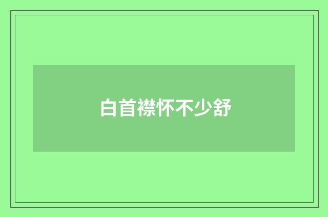 白首襟怀不少舒
