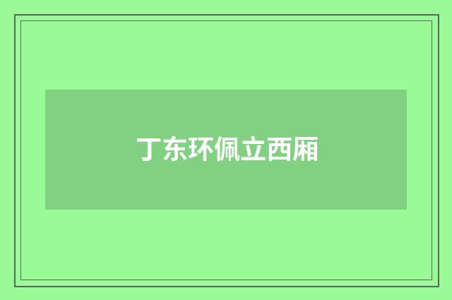 丁东环佩立西厢