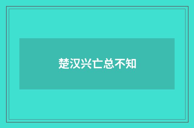 楚汉兴亡总不知
