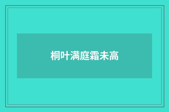 桐叶满庭霜未高
