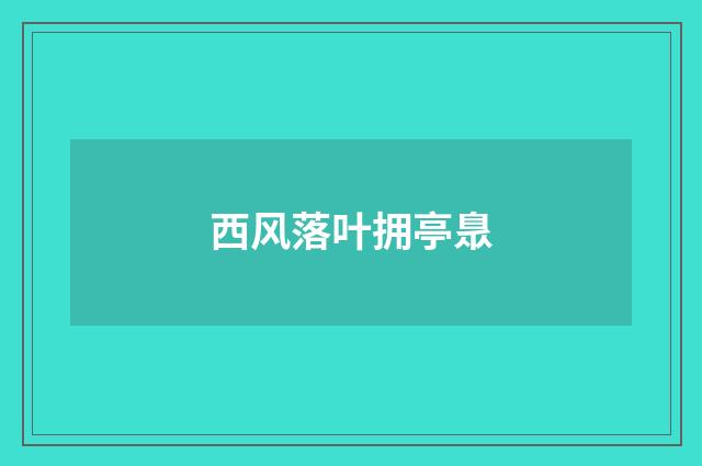 西风落叶拥亭臮