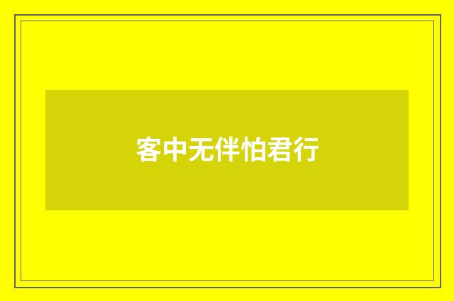 客中无伴怕君行