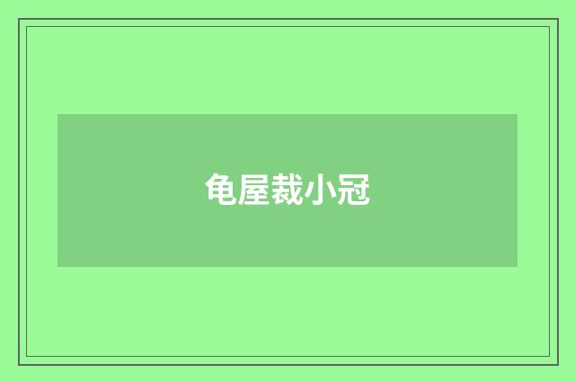 龟屋裁小冠