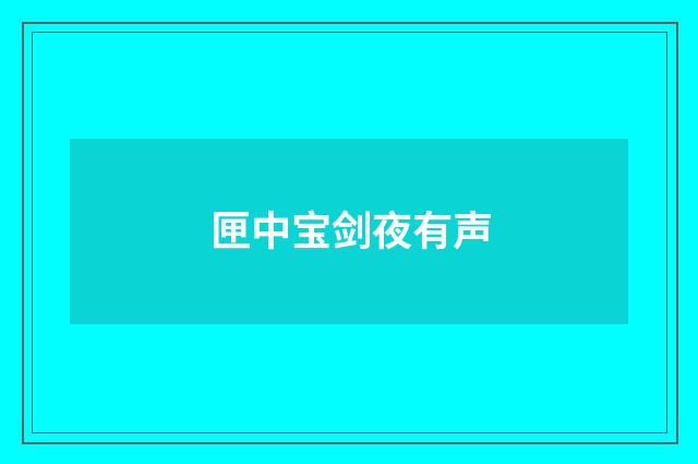 匣中宝剑夜有声