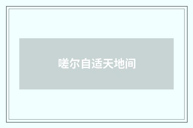 嗟尔自适天地间