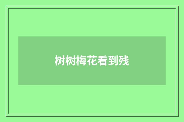 树树梅花看到残