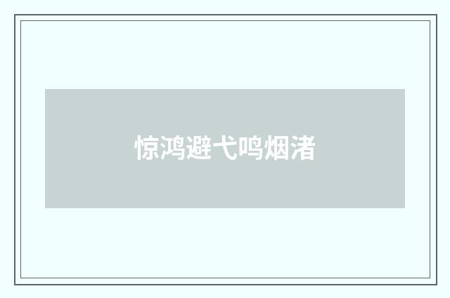 惊鸿避弋鸣烟渚
