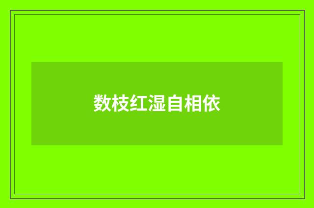 数枝红湿自相依