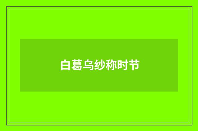 白葛乌纱称时节