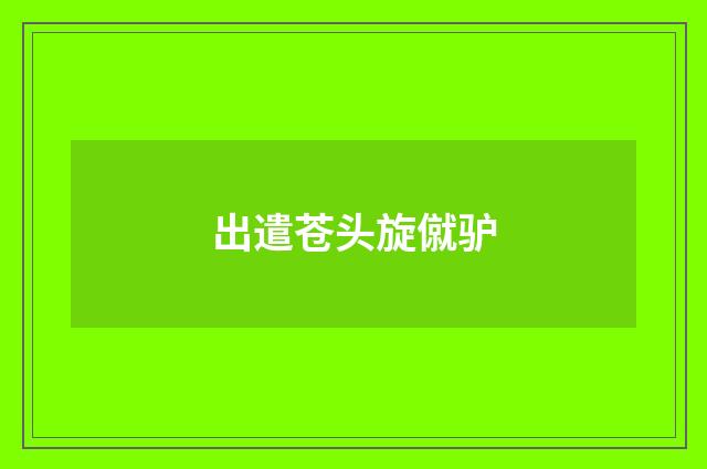 出遣苍头旋僦驴