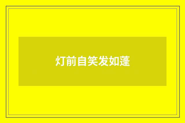灯前自笑发如蓬