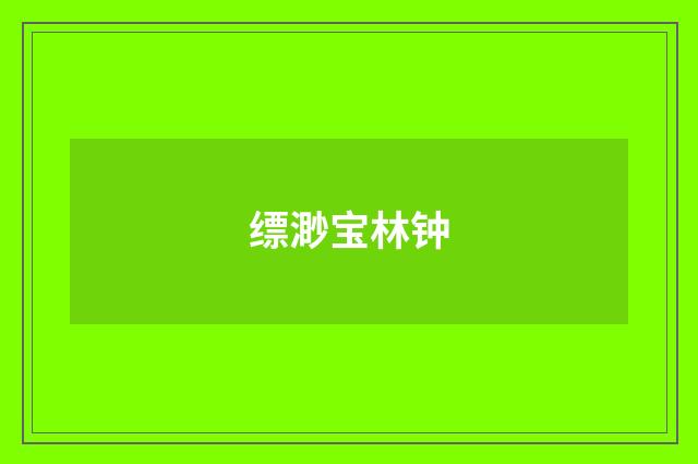 缥渺宝林钟