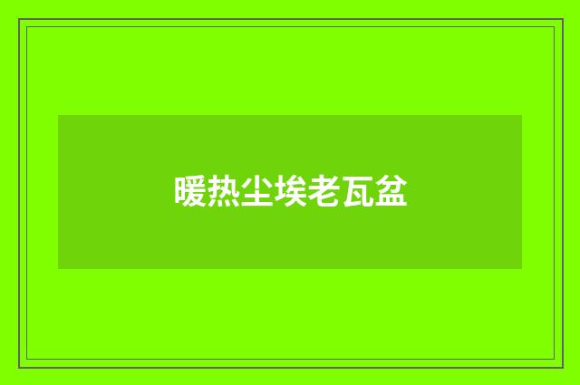 暖热尘埃老瓦盆
