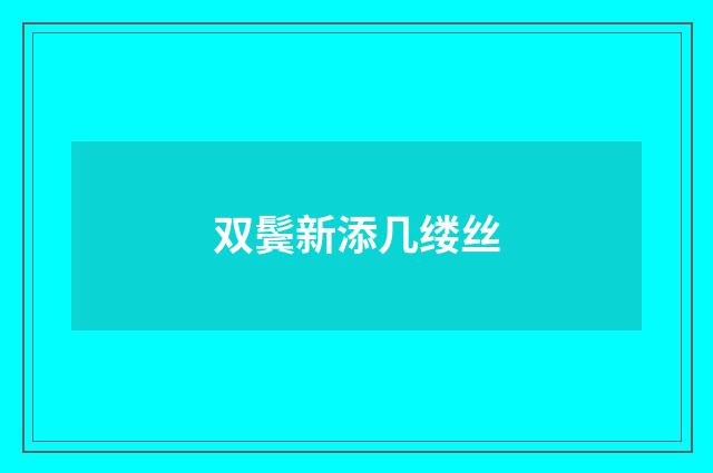 双鬓新添几缕丝