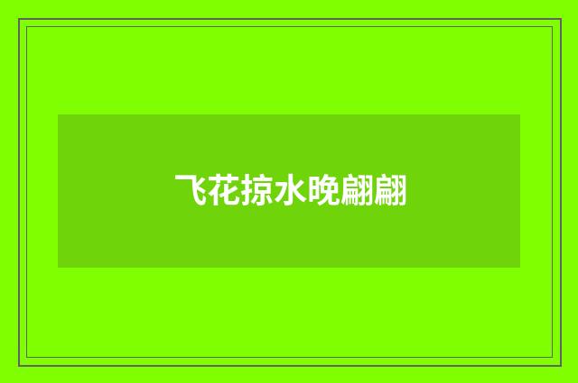 飞花掠水晚翩翩
