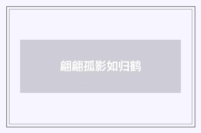 翩翩孤影如归鹤