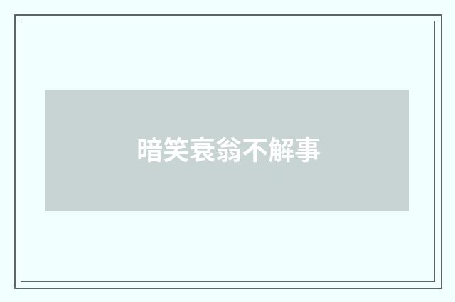 暗笑衰翁不解事