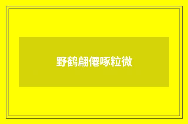 野鹤翩僊啄粒微