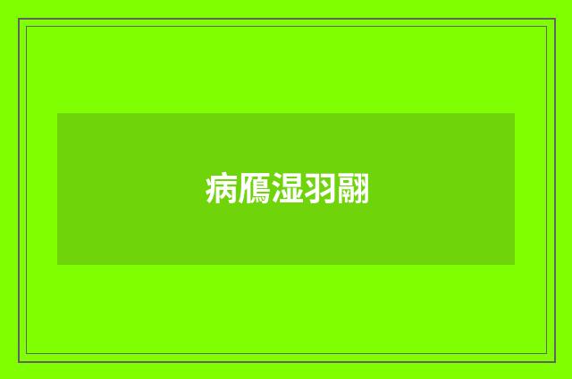 病鴈湿羽翮