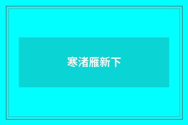 寒渚雁新下