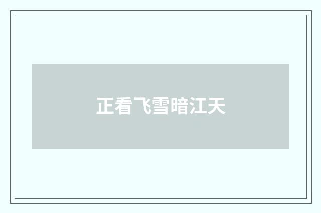 正看飞雪暗江天