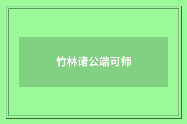 竹林诸公端可师