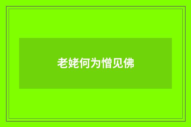 老姥何为憎见佛