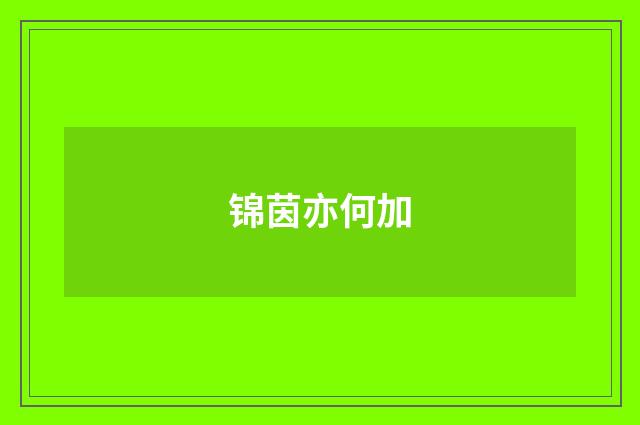 锦茵亦何加