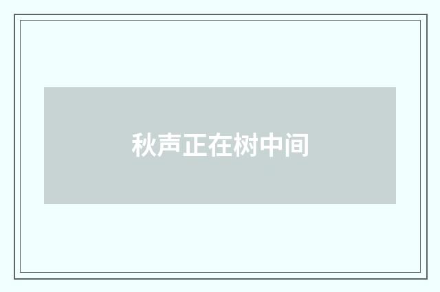 秋声正在树中间